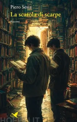 La scatola di scarpe