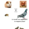 L'autonomie familiale simple et rentable