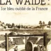 La waide : l’or bleu oublié de la France