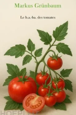 Le b.a.-ba des tomates