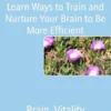 Learn Ways to Train and Nurture Your Brain to Be More Efficient