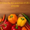 Le b.a.-ba des poivrons et des piments