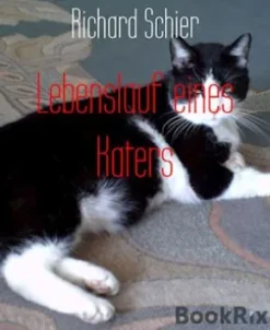 Lebenslauf eines Katers
