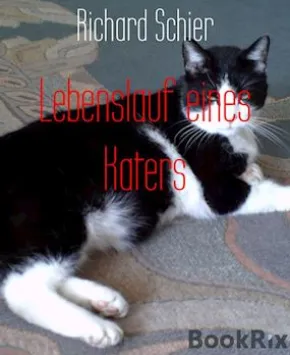Lebenslauf eines Katers