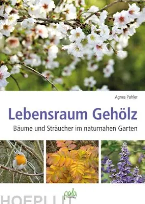 Lebensraum Gehölz