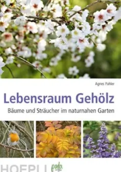 Lebensraum Gehölz