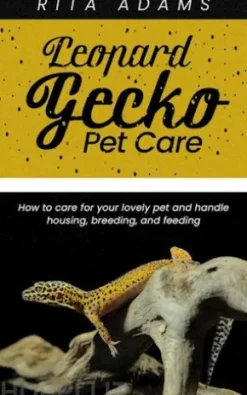 Leopard Gecko Pet Care