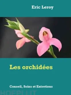 Les orchidées
