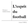 L'esprit du football