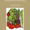 Légumes Bio Prevention et Traitement des Ravageurs et Maladies