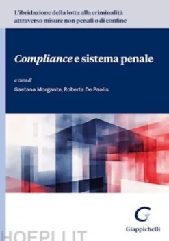 L'ibridazione della lotta alla criminalità attraverso misure non penali o di confine