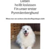 Lieben heißt loslassen Fin unser erster Pyrenäenberghund
