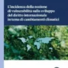 L'incidenza della nozione di vulnerabilità sullo sviluppo del diritto internazionale in tema di cambiamenti climatici - e-Book