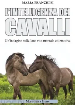 L'intelligenza dei cavalli