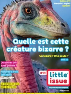 Little Issue Tome - 14