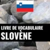 Livre de vocabulaire slovène