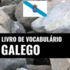 Livro de Vocabulário Galego