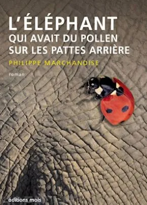 L'éléphant qui avait du pollen sur les pattes arrière