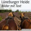 Lüneburger Heide