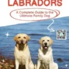 Loving Labradors