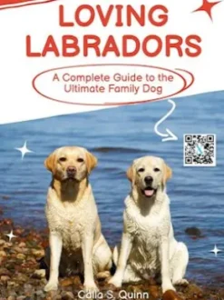 Loving Labradors