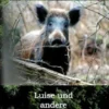 Luise und andere Jagdgeschichten