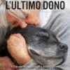 L'ultimo dono