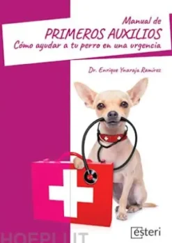 Manual de primeros auxilios: cómo ayudar a tu perro en una urgencia