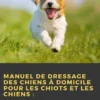 Manuel De Dressage Des Chiens À Domicile Pour Les Chiots Et Les Chiens :