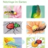 Marienkäfer, Glühwürmchen, Florfliege & Co.