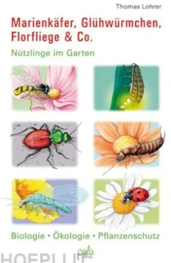 Marienkäfer, Glühwürmchen, Florfliege & Co.