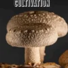Mastering Mushroom Cultivation