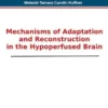 Mechanisms of Adaptation and Reconstruction in the Hypoperfused Brain