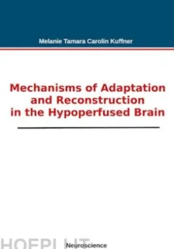Mechanisms of Adaptation and Reconstruction in the Hypoperfused Brain