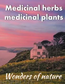 Medicinal herbs / medicinal plants