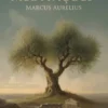 Meditações (traduzido)