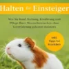 Meerschweinchen halten für Einsteiger