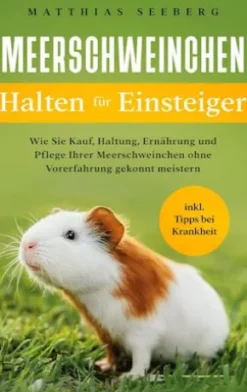 Meerschweinchen halten für Einsteiger
