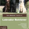 Mein absoluter Traumhund: Labrador Retriever
