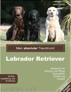 Mein absoluter Traumhund: Labrador Retriever