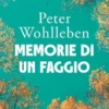 Memorie di un faggio