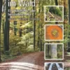 Menschenspuren im Wald