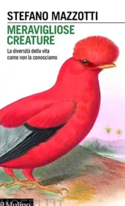 Meravigliose creature