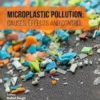 Microplastic Pollution: Causes, Effects and Control