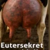 Milch