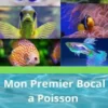 Mon Premier Bocal à Poissons