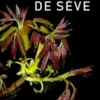 Montée de sève