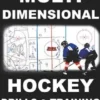 Multidimensional Hockey Drills and Training