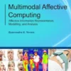 Multimodal Affective Computing: Affective Information Representation, Modelling, and Analysis