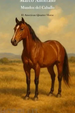 Mundos del caballo - El American Quarter Horse